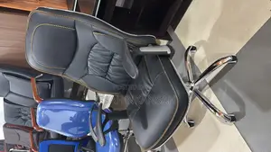 Ergonomic Office Chair