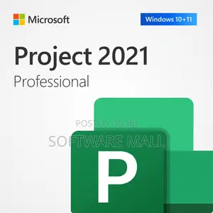 Project 2021 Professional 1 User