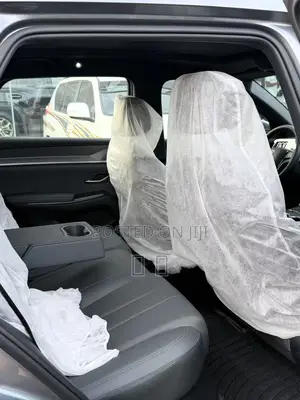 New BYD Song Pro DM-i 2025 Gray