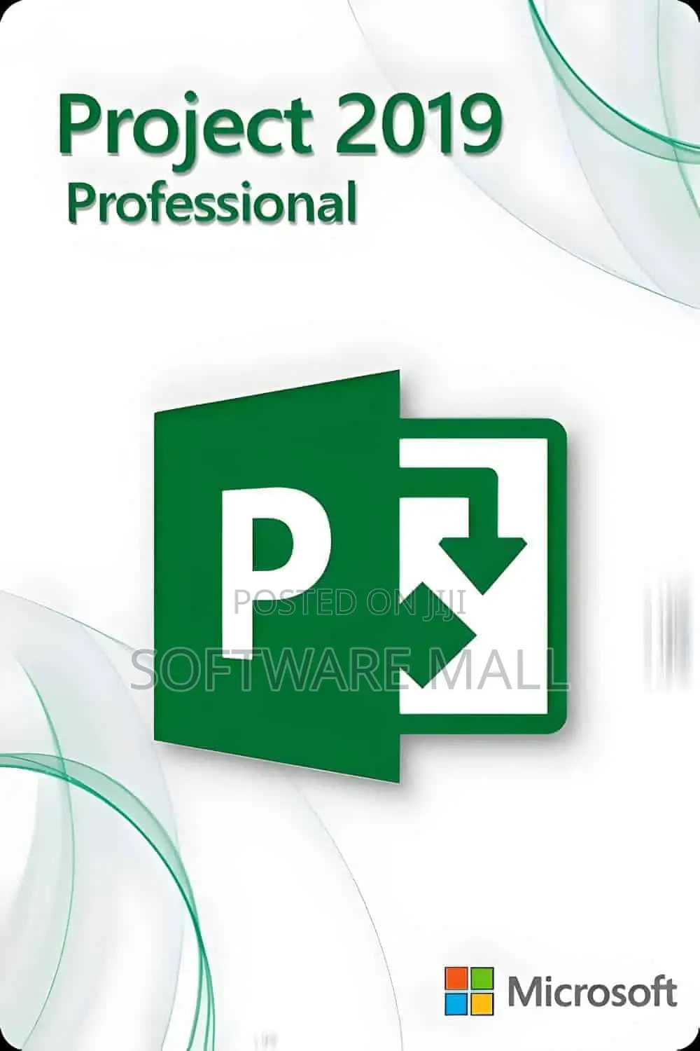Project 2019 Professional 1 User (Bind)