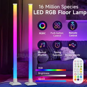 RGB Floor Lamp Light