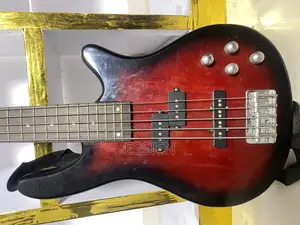 5 Strings Bass Guitar