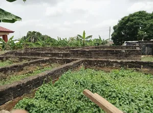 150x130 Plot of Land for Sale at Kwadaso Estate