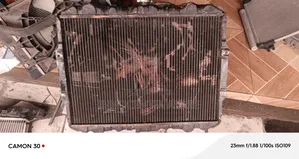 Galloper Radiator