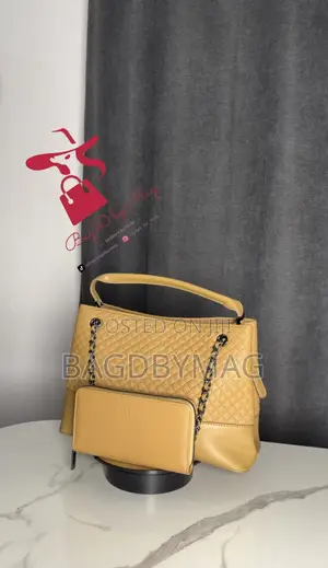 Gucci Gold Bag