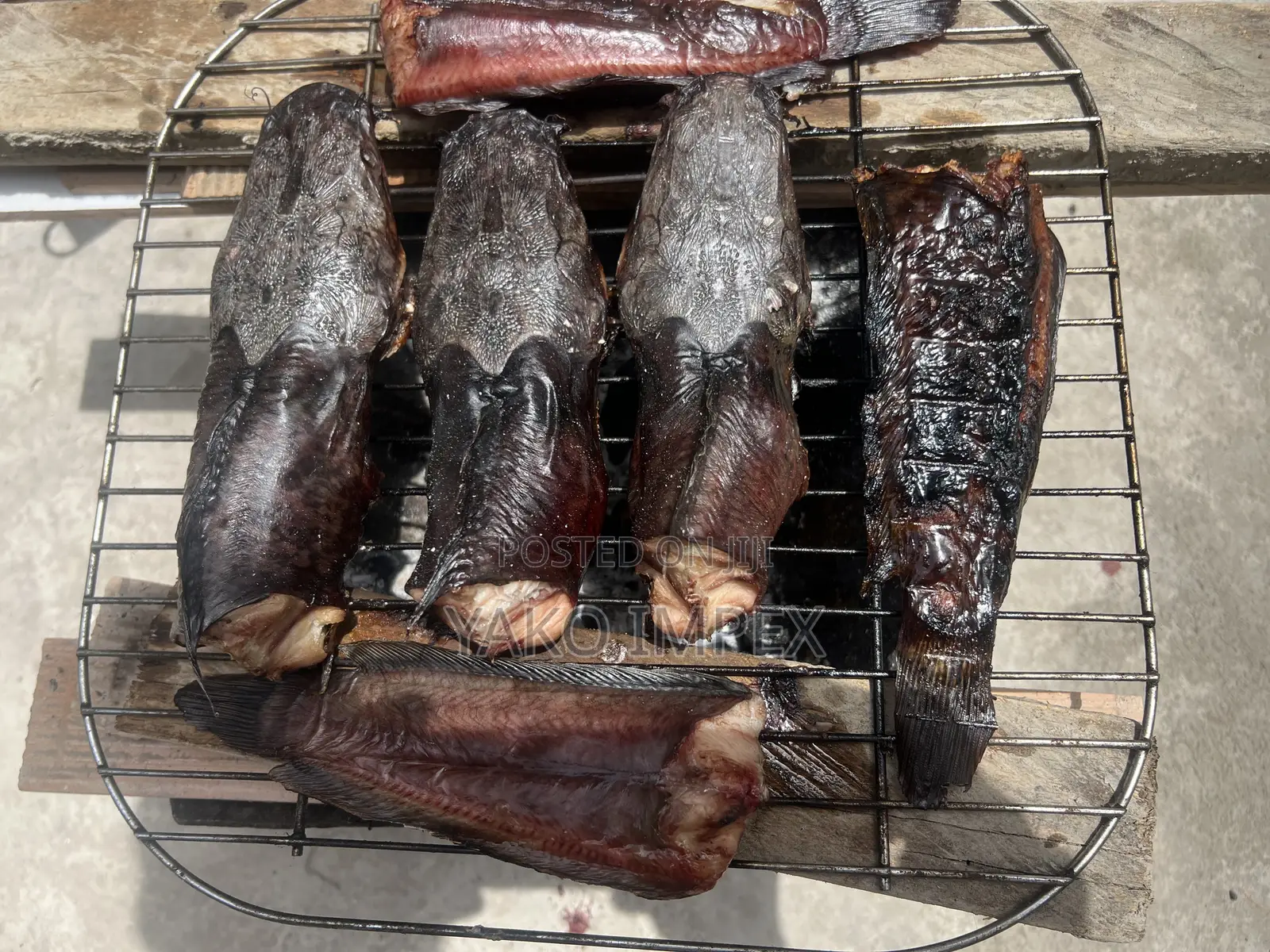 Fresh Cat Fish On Sale