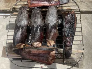 Fresh Cat Fish On Sale