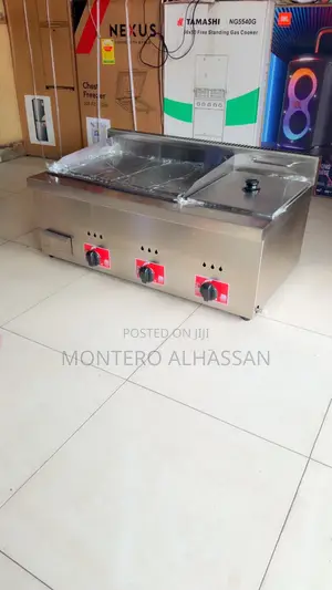 Gas Griddle With Fryer