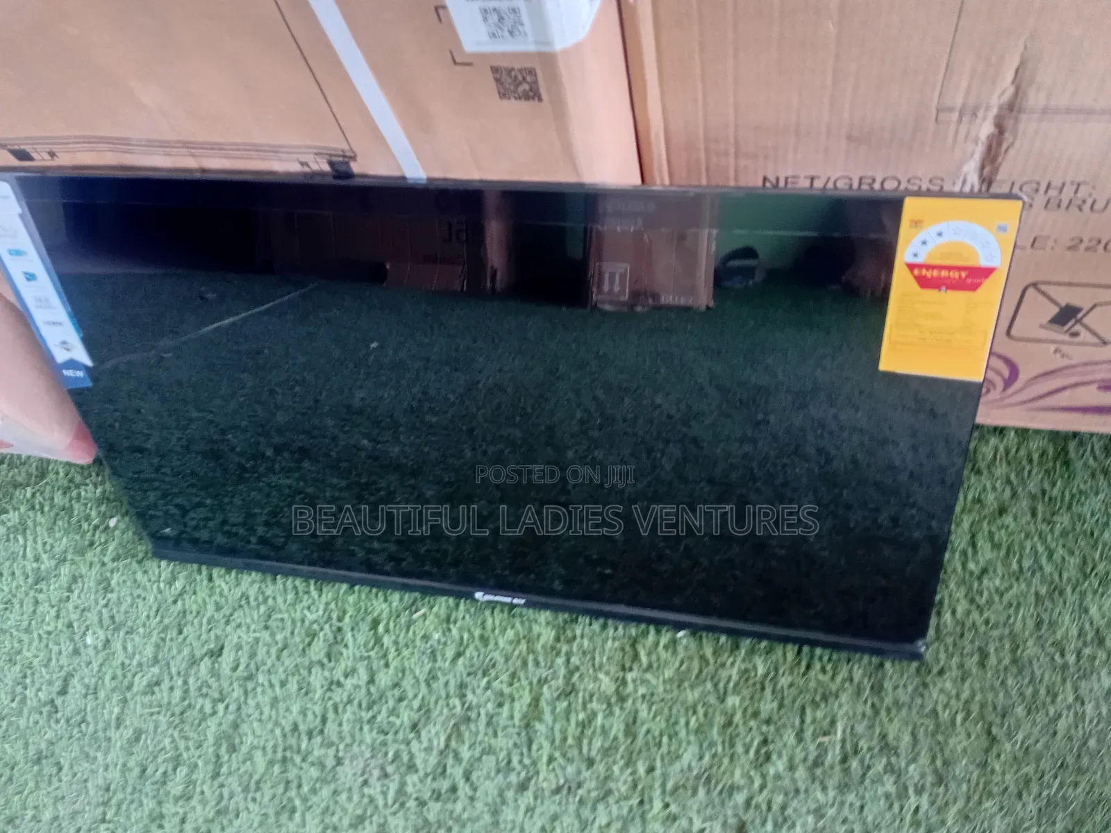 Dolphine Bay 32" Hd Tv – Enjoy Movies, Sports More