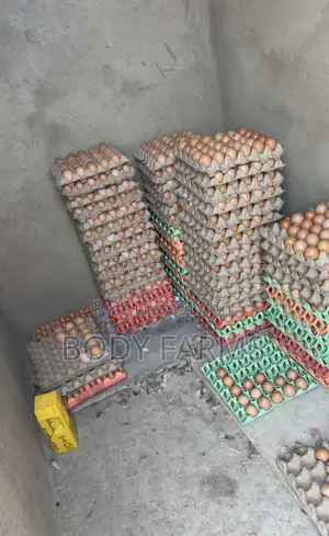 Fresh Eggs and Broilers Available