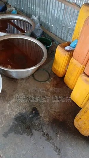 Palm Kennel Oil