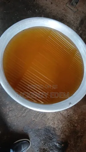 Palm Kennel Oil