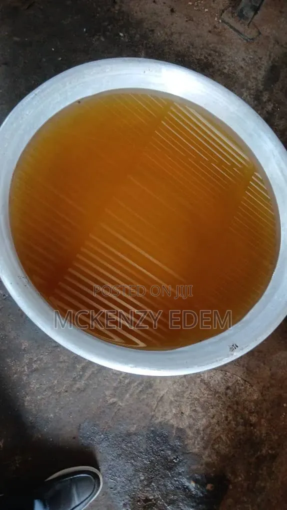 Palm Kennel Oil