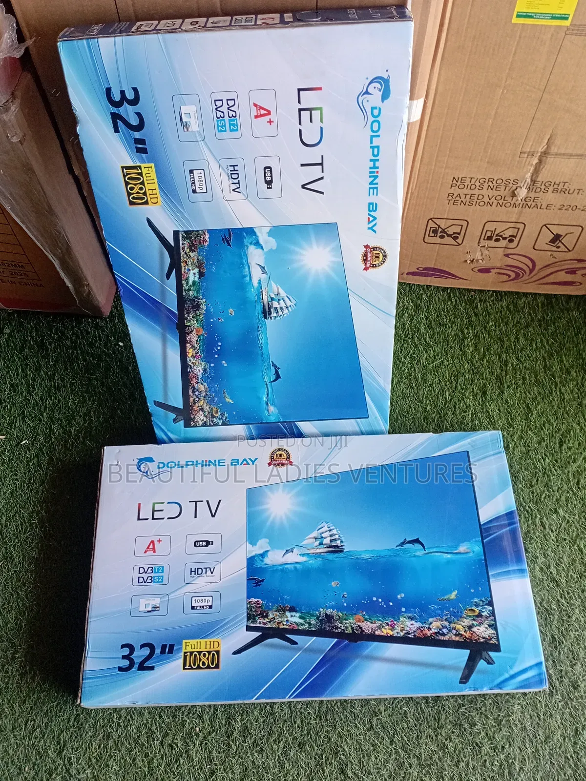 Dolphine Bay 32-Inch Television – Clear Vision, Smart Choice