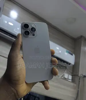 Apple iPhone 15 Pro Max 256 GB Gray