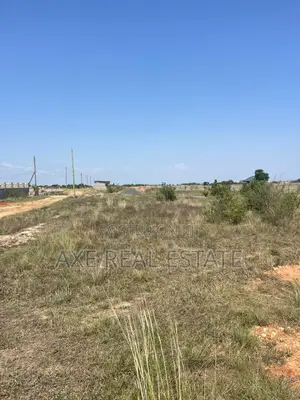 Secure Amazing Titled Lands
