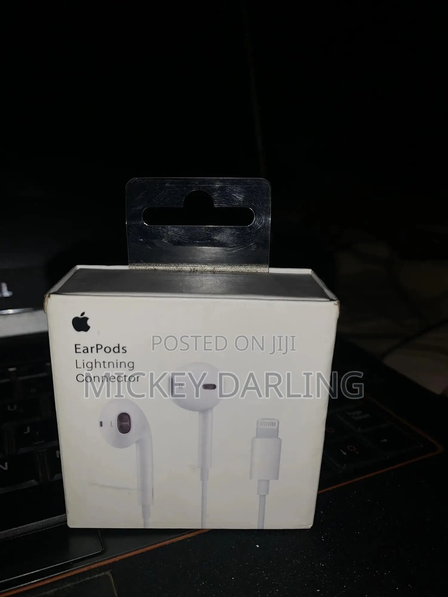 iPhone Lighting Earphones