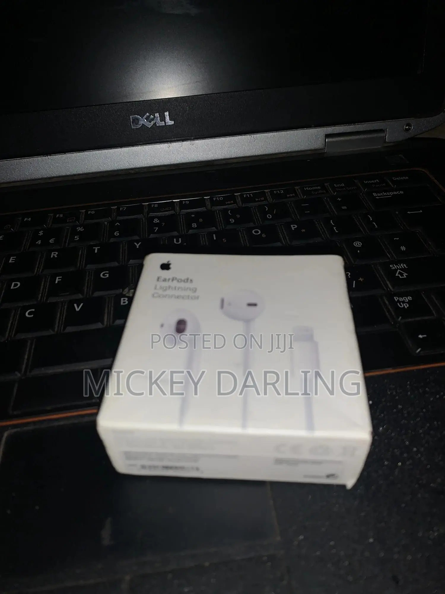 iPhone Lighting Earphones