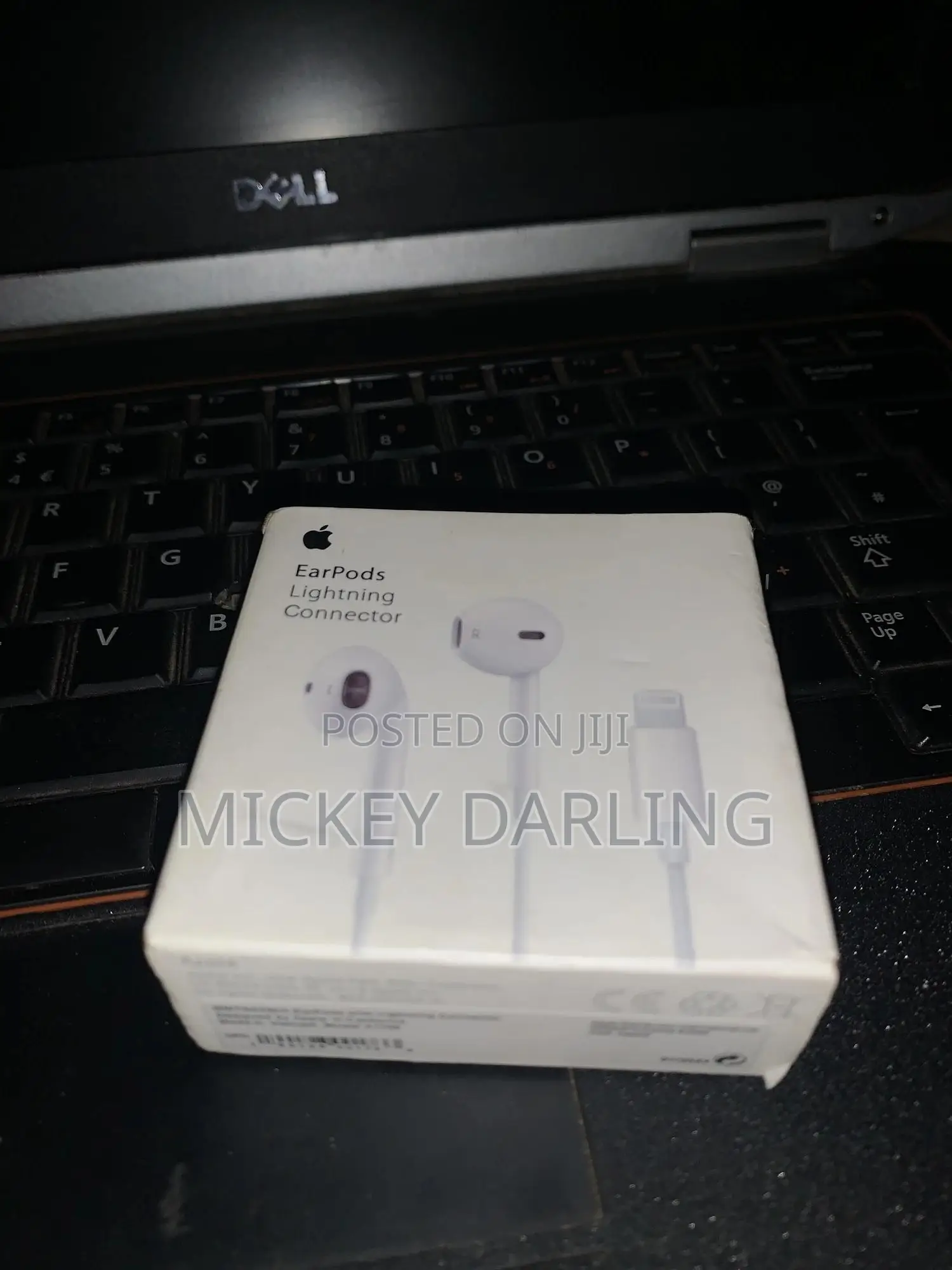 iPhone Lighting Earphones