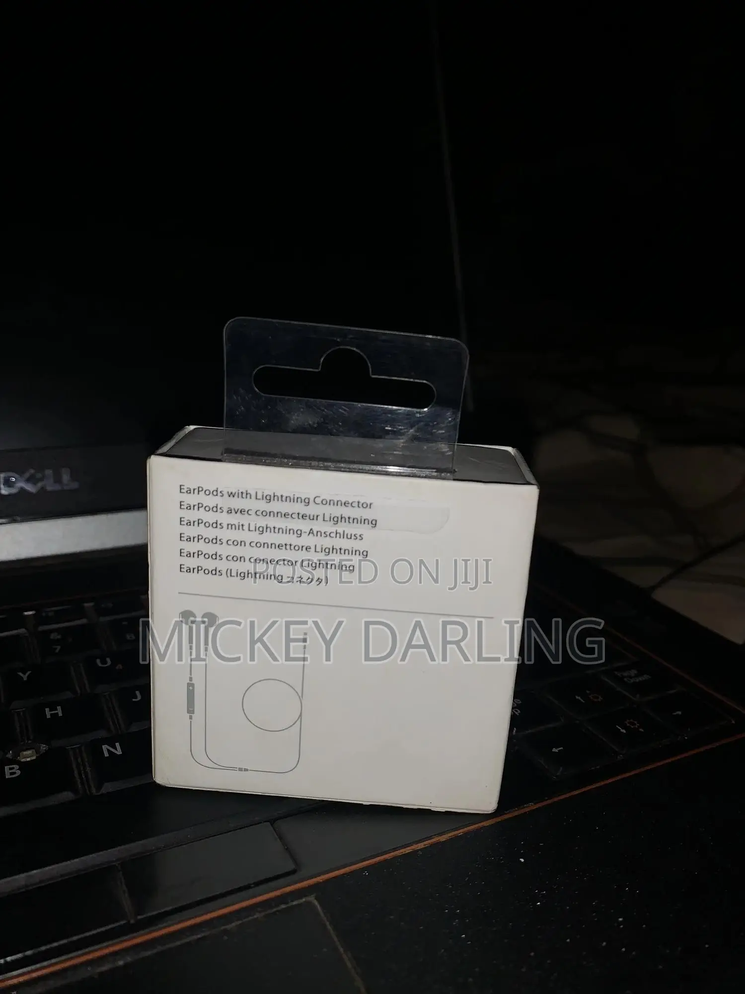 iPhone Lighting Earphones
