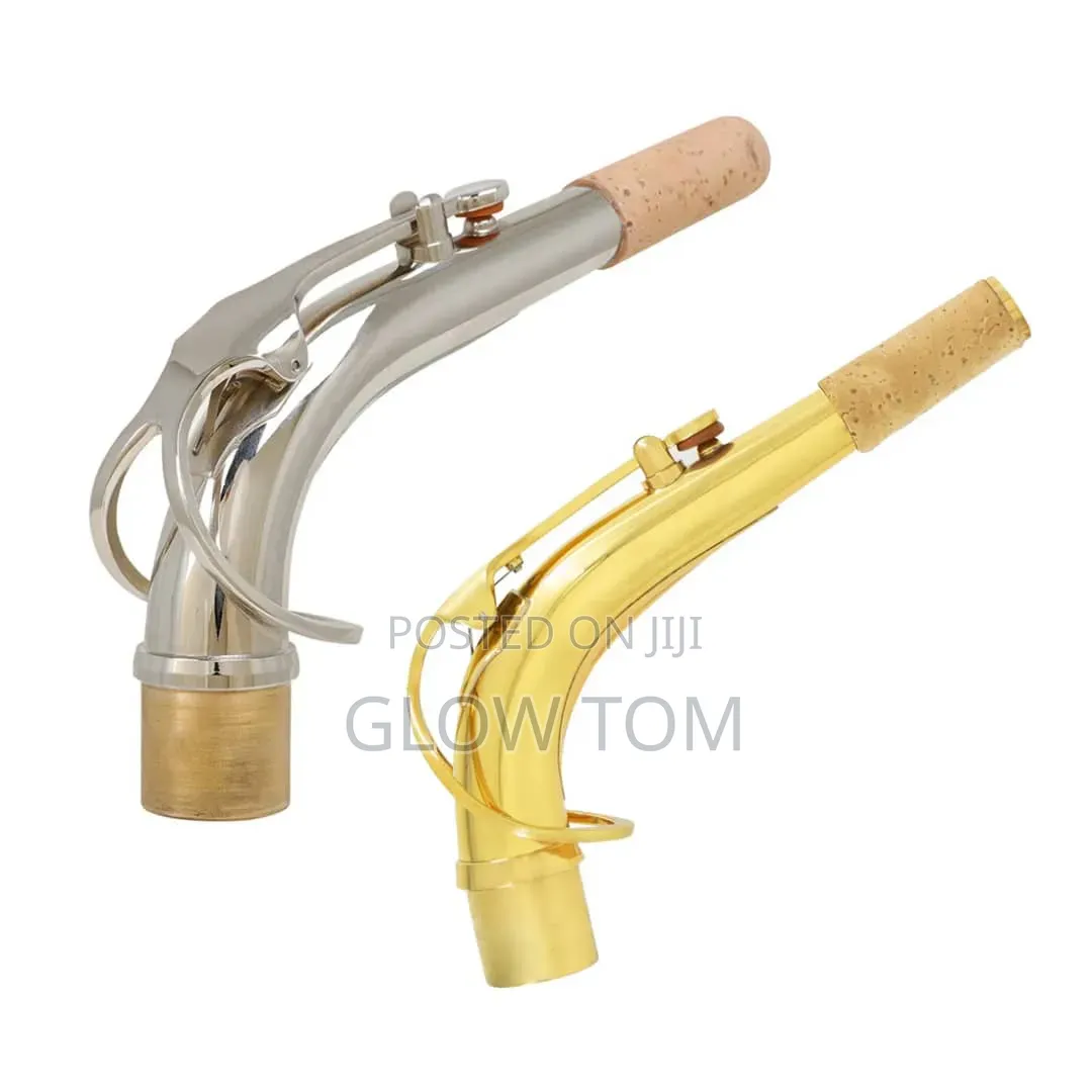 Alto Saxophone Neck Gold/ Silver