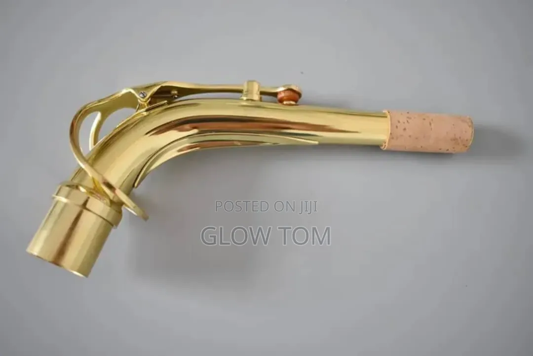 Alto Saxophone Neck Gold/ Silver