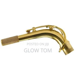 Alto Saxophone Neck Gold/ Silver