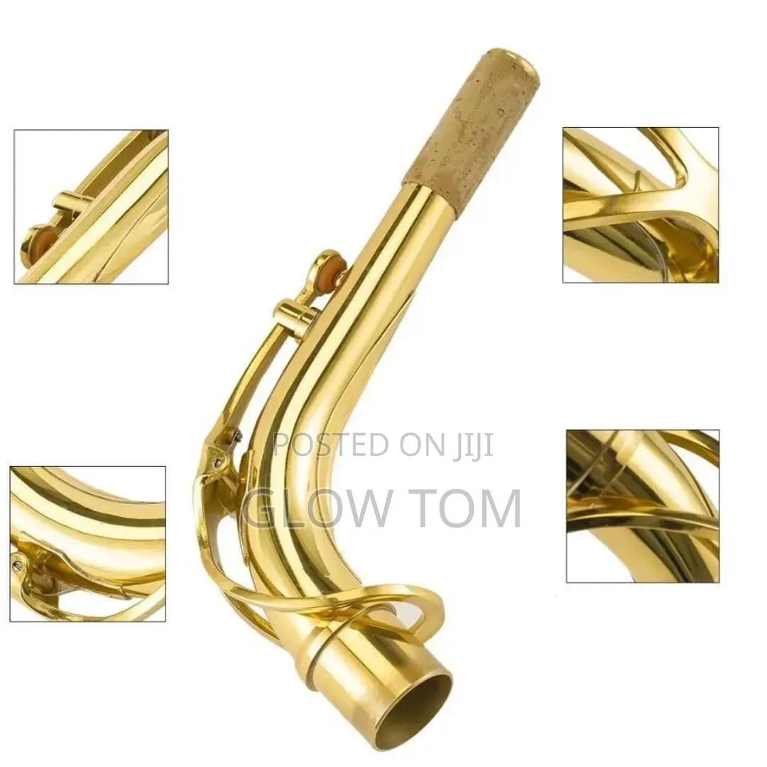 Alto Saxophone Neck Gold/ Silver