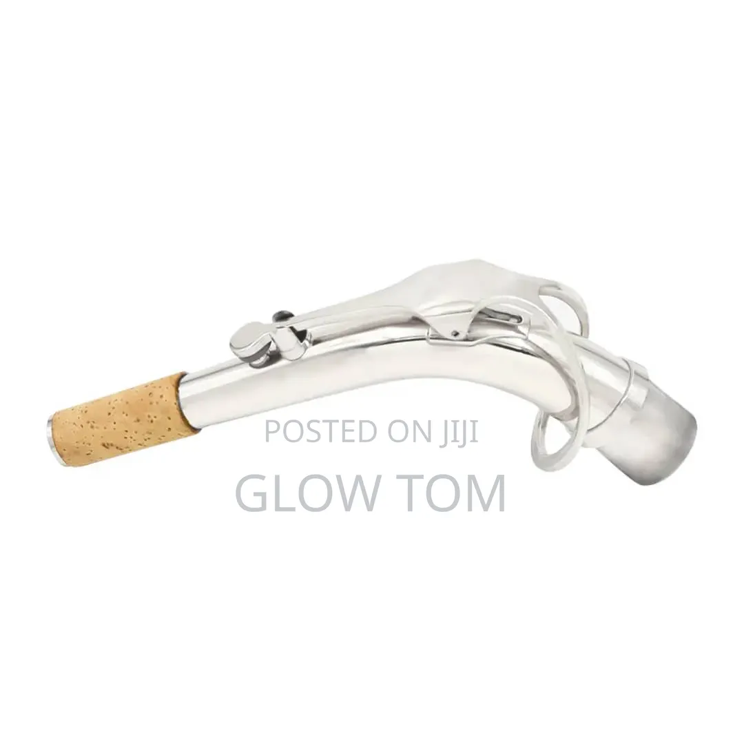 Alto Saxophone Neck Gold/ Silver