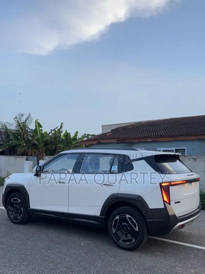 New Dongfeng Nammi Box 2025 White