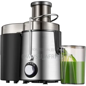 Electric Juicer