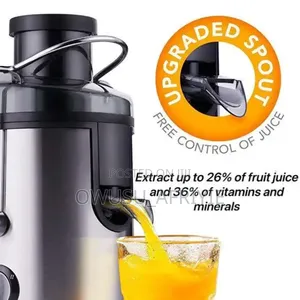 Electric Juicer