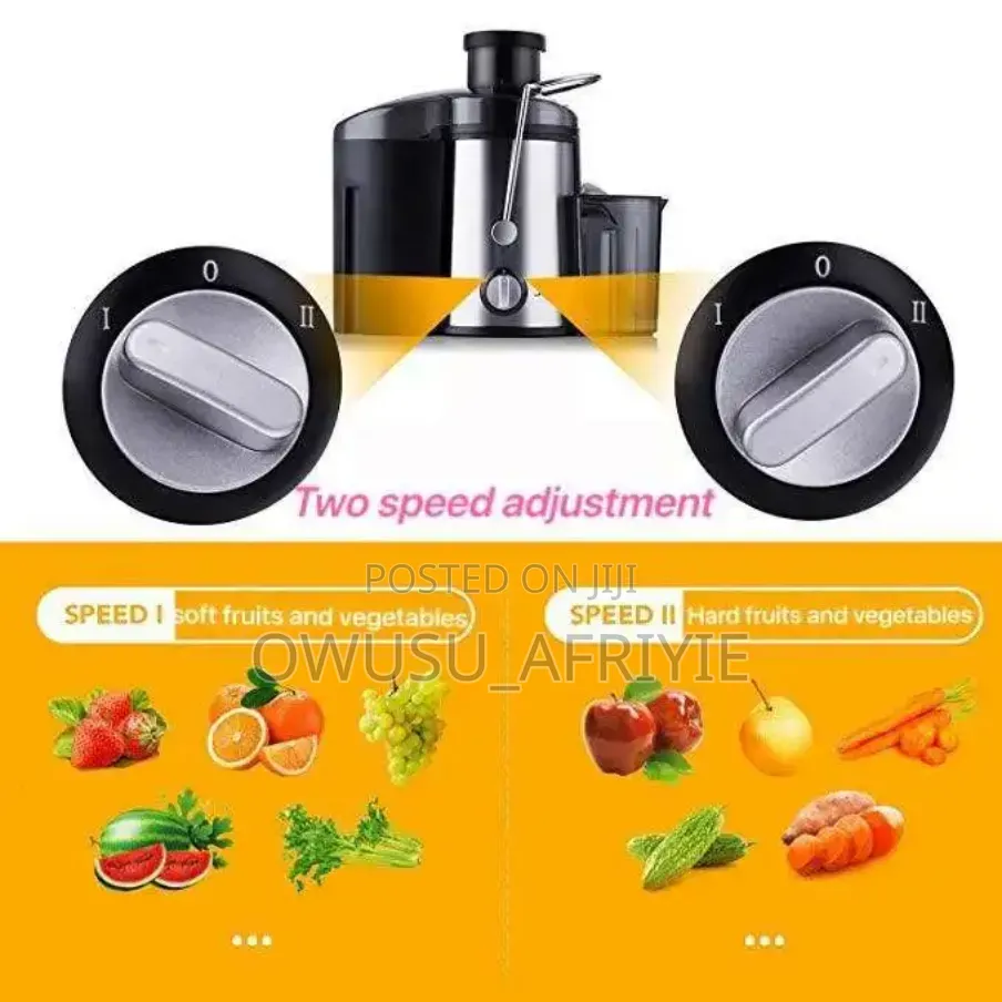 Electric Juicer