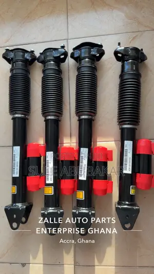 Back Shocks