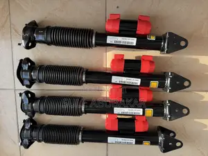Back Shocks