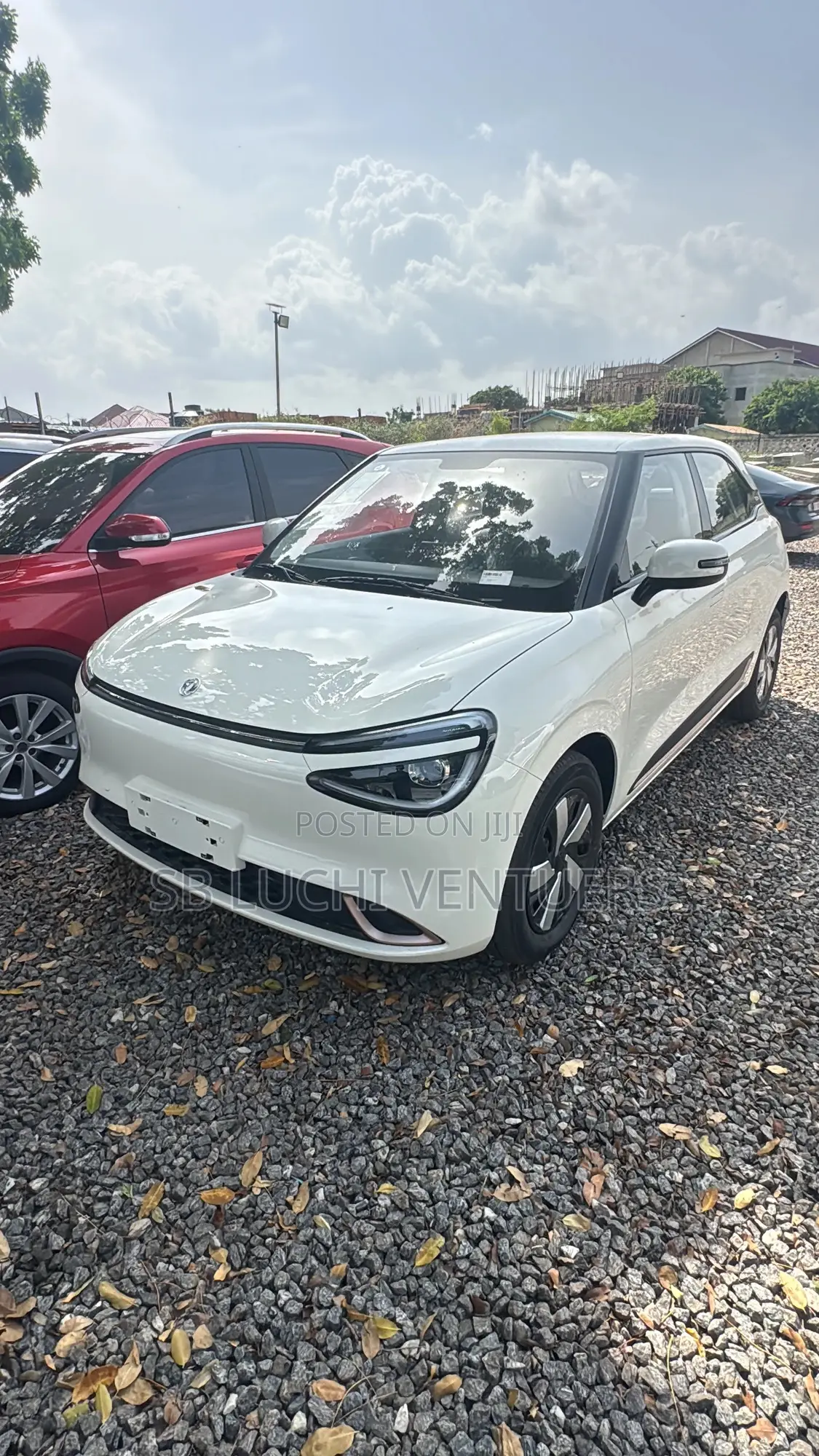 New Dongfeng Nammi 01 2025 White
