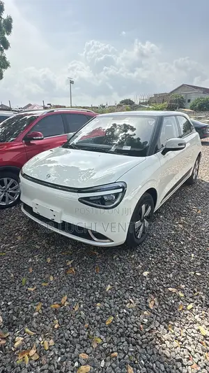 New Dongfeng Nammi 01 2025 White