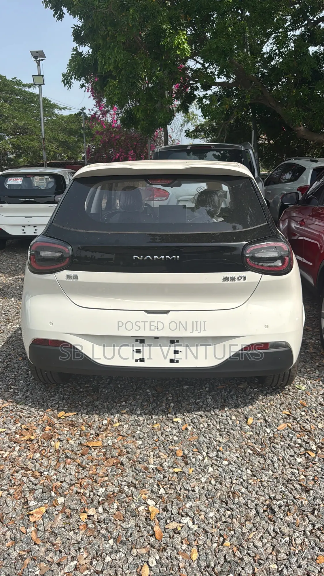 New Dongfeng Nammi 01 2025 White