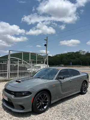 Dodge Charger Daytona 2024 Gray