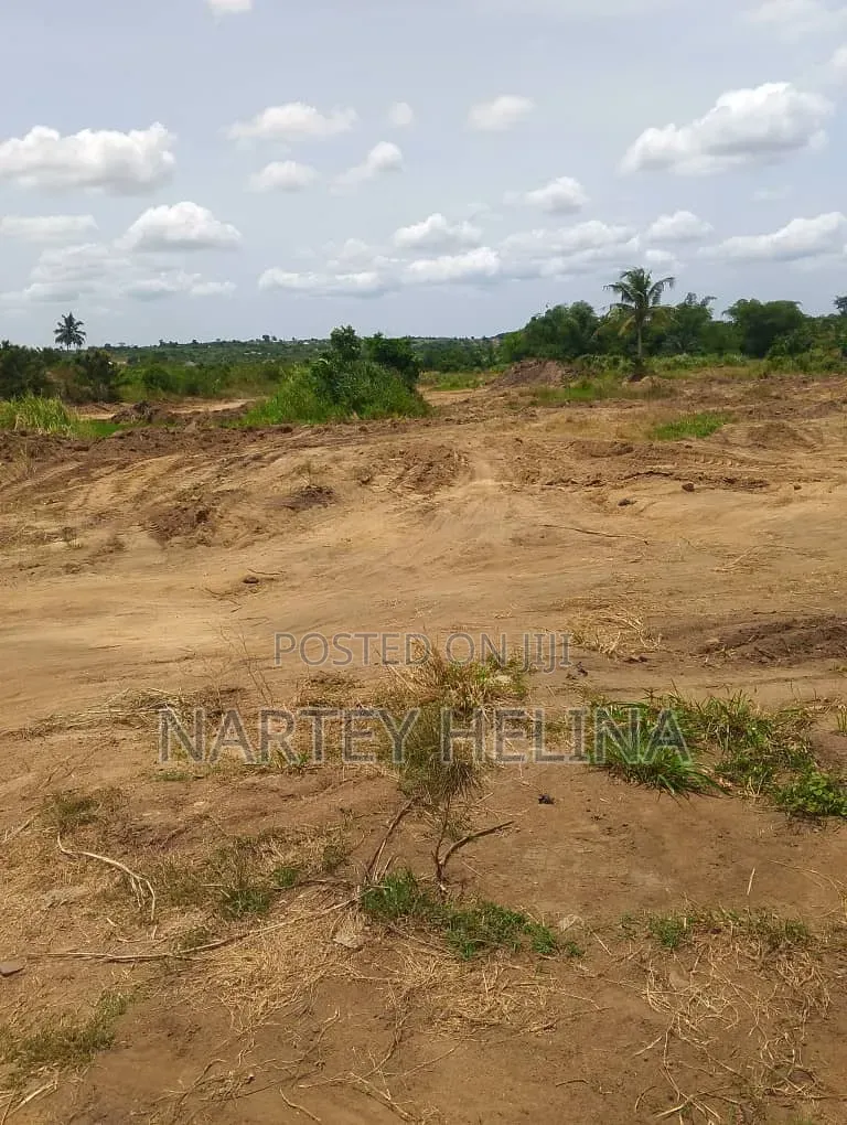 Alpha Lands At Nsawam Ayibonte Ready For Sale