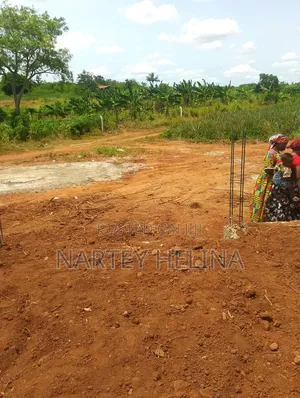 Alpha Lands At Nsawam Ayibonte Ready For Sale