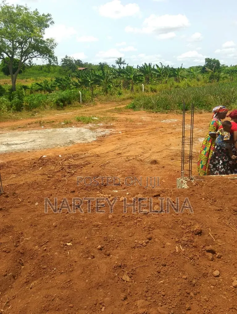 Alpha Lands At Nsawam Ayibonte Ready For Sale