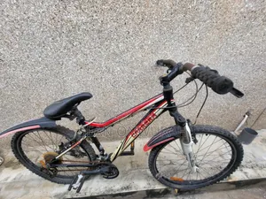 Usead Bicycle (May Need Little Servicing)