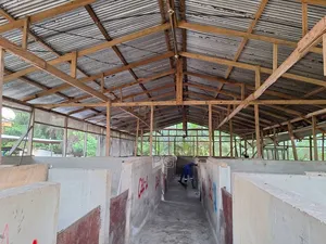 Fully Fitted Pig Farm For Sale