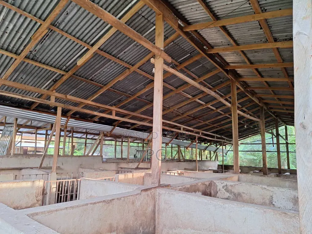 Fully Fitted Pig Farm For Sale