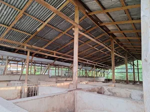 Fully Fitted Pig Farm For Sale