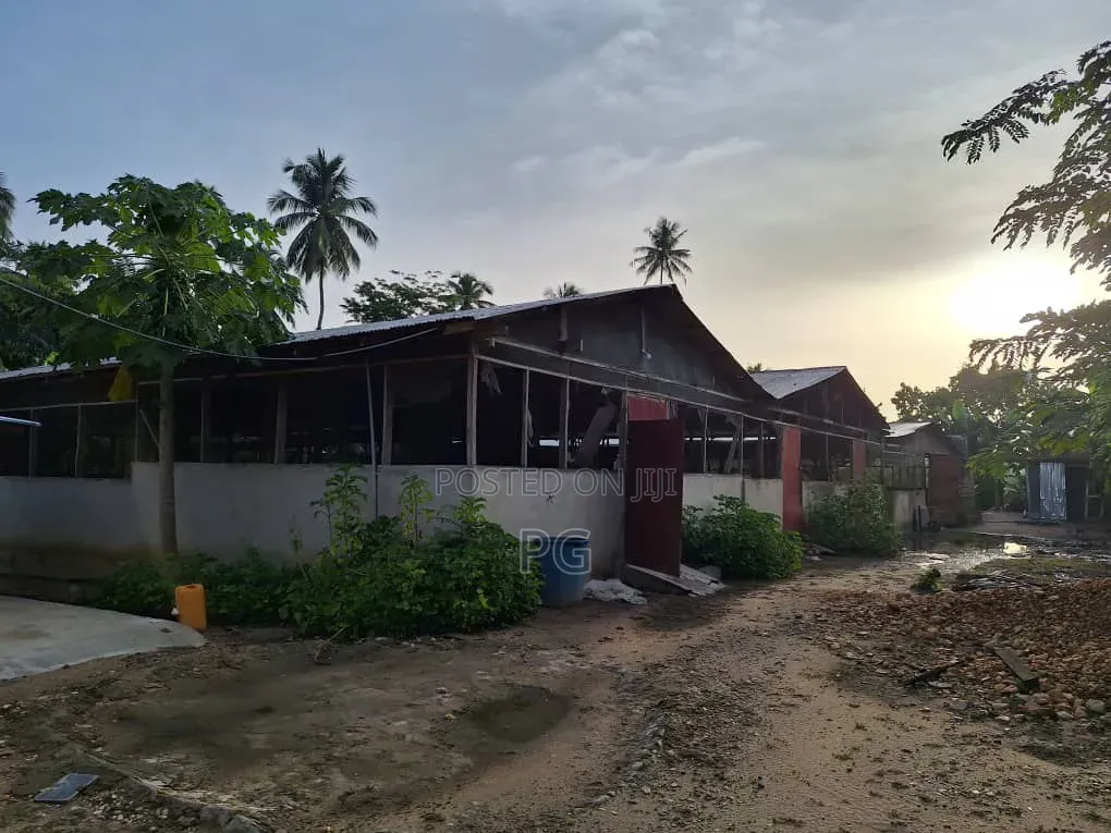 Fully Fitted Pig Farm For Sale