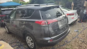 Toyota RAV4 Limited 4dr SUV (2.5L 4cyl 6A) 2018 Gray