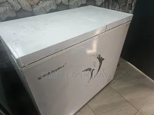 Royalstar Double Door Chest Freezer at Promiseland Katamanso Ashaiman