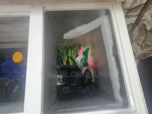 Royalstar Double Door Chest Freezer at Promiseland Katamanso Ashaiman